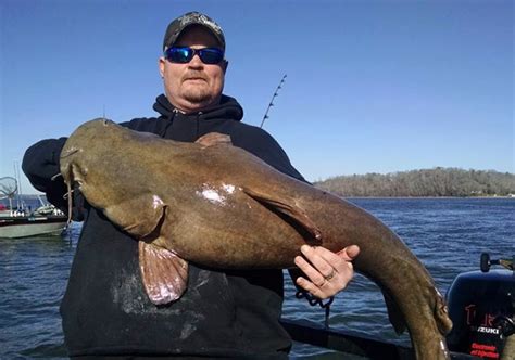 釣鯰魚什麼天氣好？鯰魚會不會因為氣溫變化而改變活動習性？