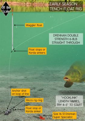 魚釣怎麼裝浮圖解：探索浮標設置的藝術與科學